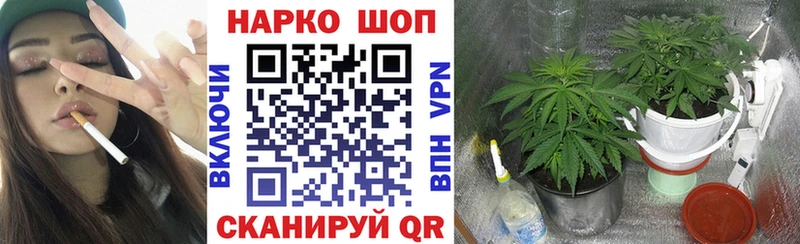 ГАШИШ Заозёрный